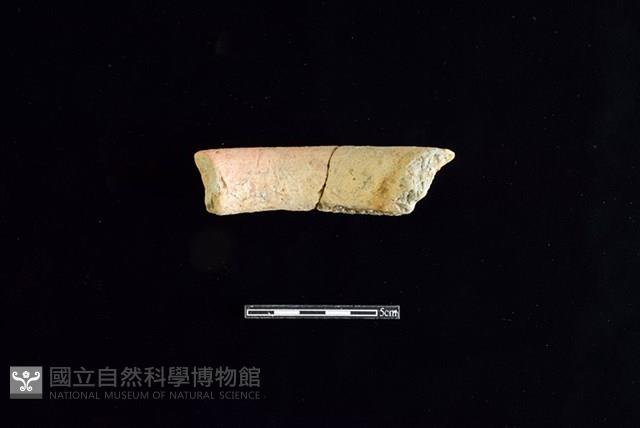 陶罐藏品圖，第2張