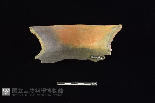 Accession Number:HLL-L-PT0207 Collection Image, Figure 2, Total 2 Figures