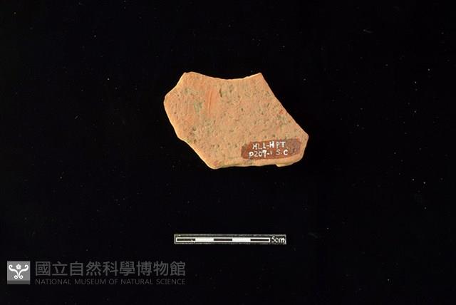 連杯形器藏品圖，第2張