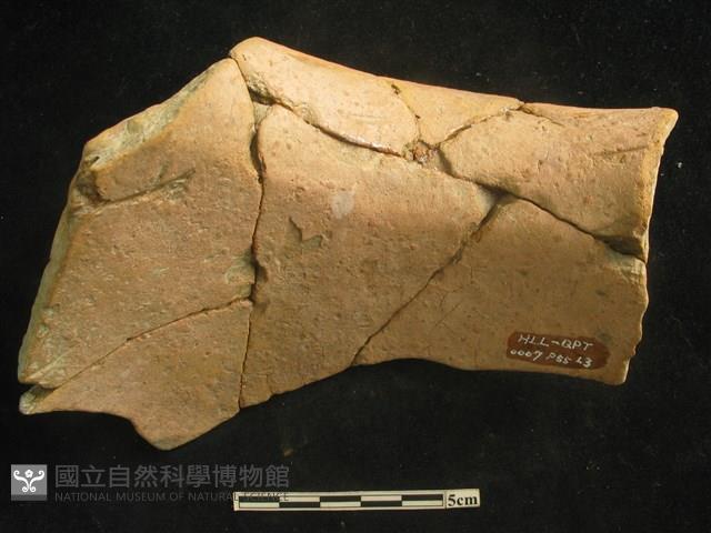 陶罐藏品圖，第2張