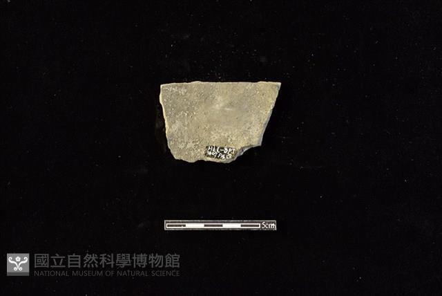 陶片藏品圖，第2張