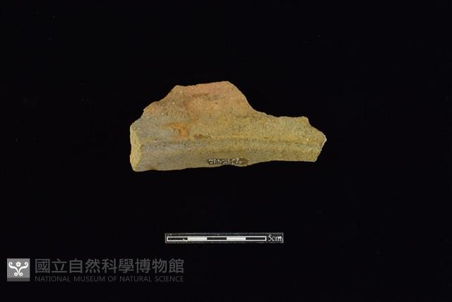 陶片藏品圖，第2張