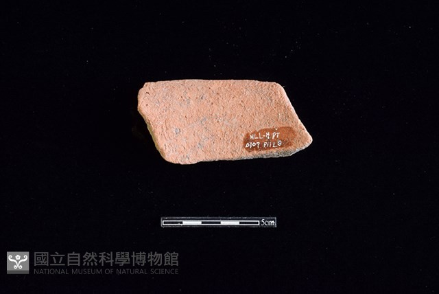 陶片藏品圖，第2張