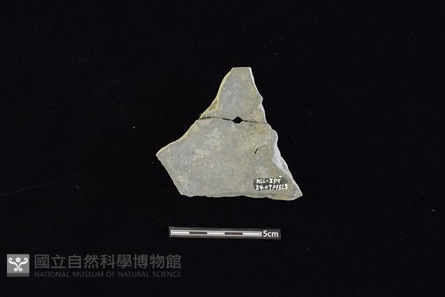 陶片藏品圖，第2張