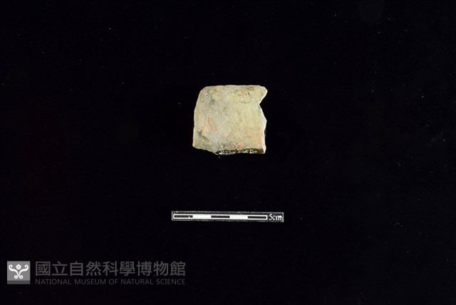 陶罐藏品圖，第2張