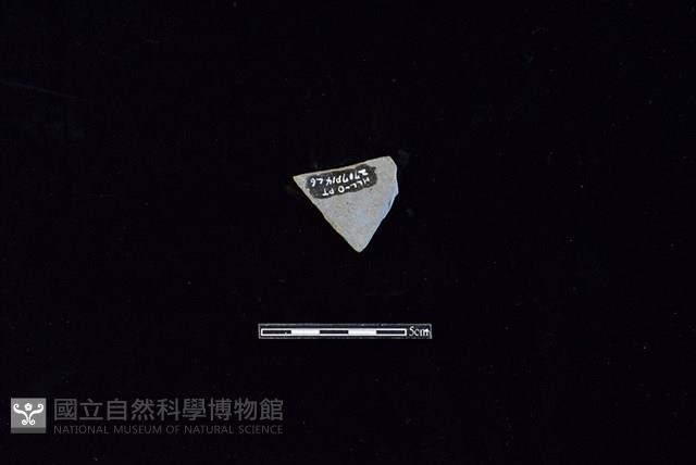 陶片藏品圖，第2張