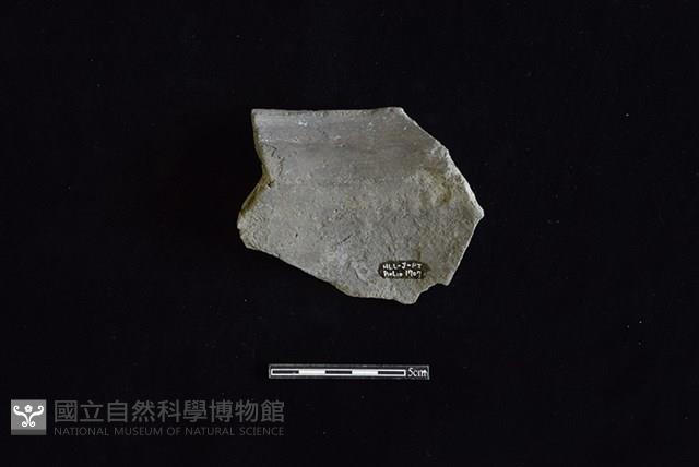 陶罐藏品圖，第2張