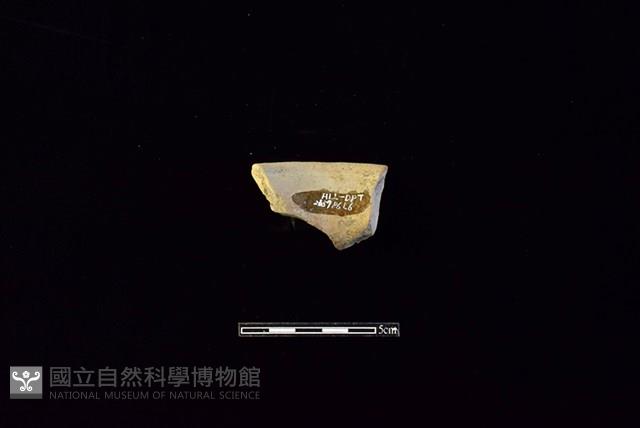 陶罐藏品圖，第2張