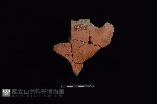 連杯形器藏品圖，第2張