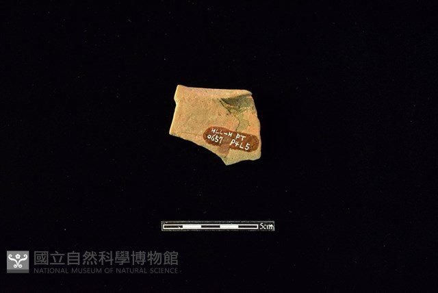 連杯形器藏品圖，第2張