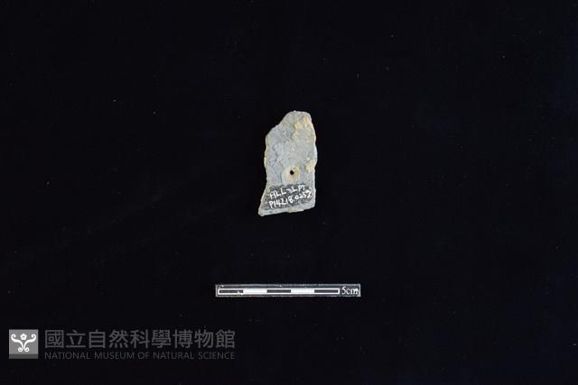 陶片藏品圖，第2張