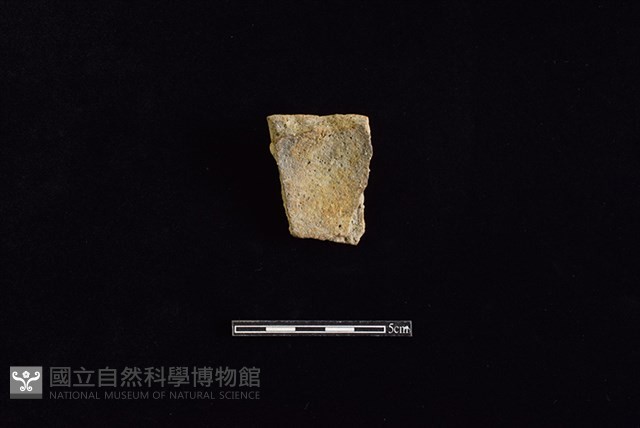 陶片藏品圖，第2張