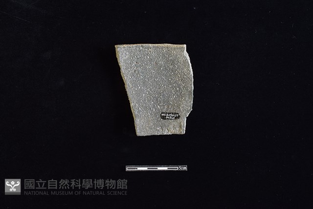 陶片藏品圖，第2張