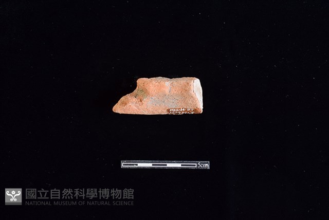 陶片藏品圖，第2張