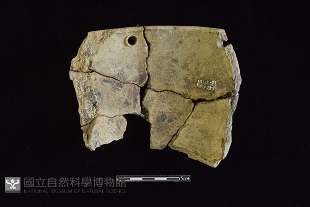 陶缽藏品圖，第2張