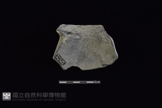 陶罐藏品圖，第2張