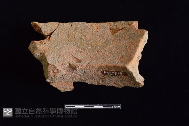 陶罐藏品圖，第2張