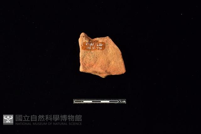 Accession Number:HLL-H PT0757 Collection Image, Figure 2, Total 2 Figures