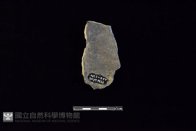 陶片藏品圖，第2張