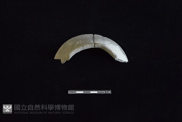 陶罐藏品圖，第2張
