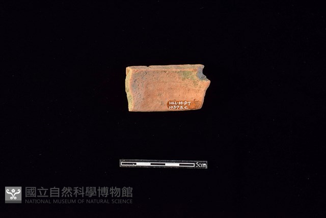 陶片藏品圖，第2張