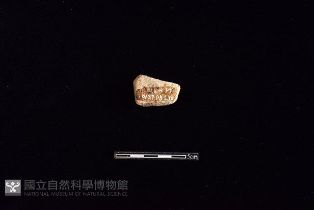 陶片藏品圖，第2張