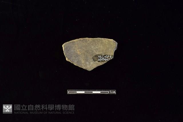 陶片藏品圖，第2張