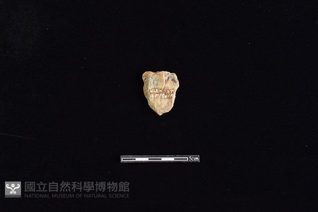 陶片藏品圖，第2張
