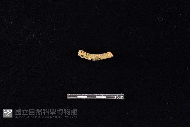 陶環藏品圖，第2張