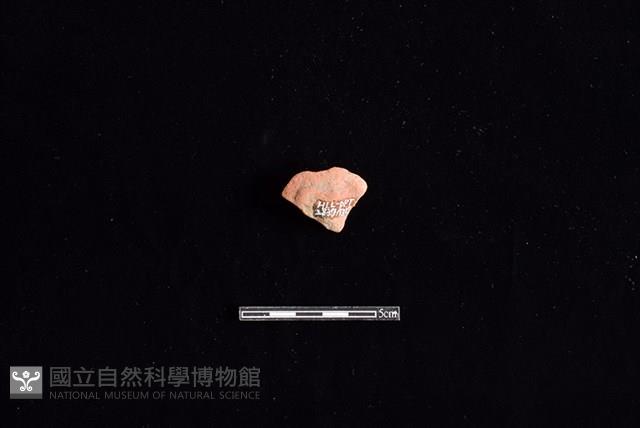 陶片藏品圖，第2張