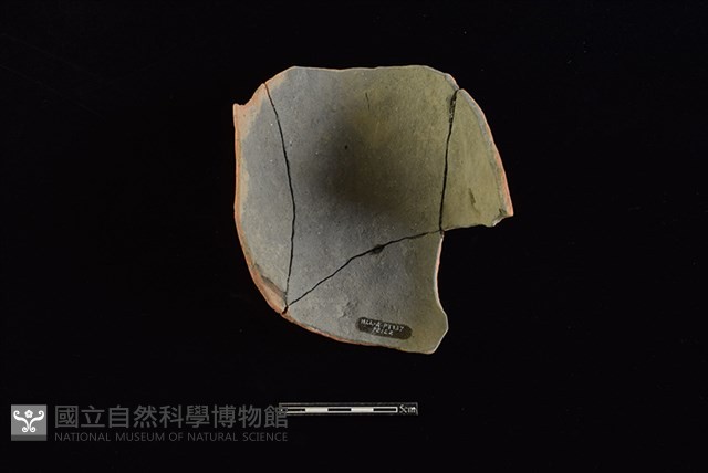 陶片藏品圖，第2張