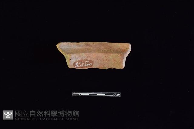 陶罐藏品圖，第2張