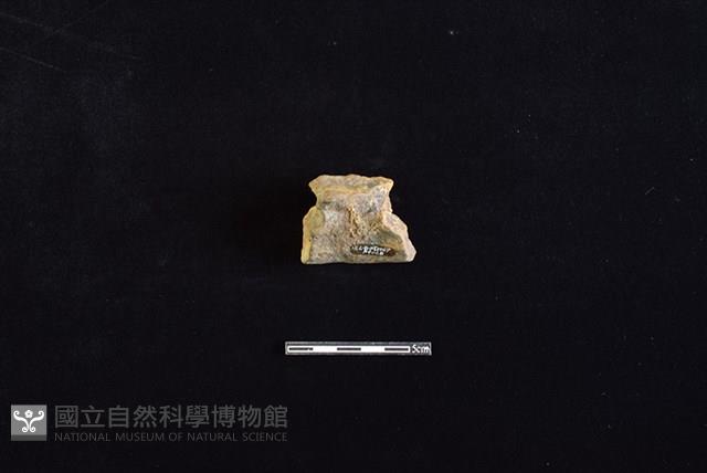 陶片藏品圖，第2張