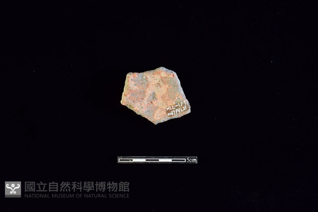 陶片藏品圖，第2張