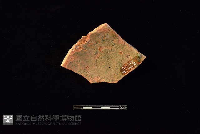 陶片藏品圖，第2張