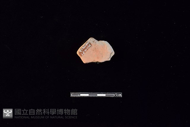 陶片藏品圖，第2張