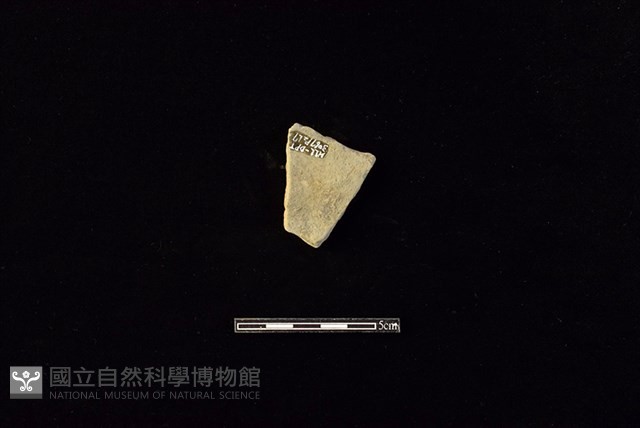 陶片藏品圖，第2張
