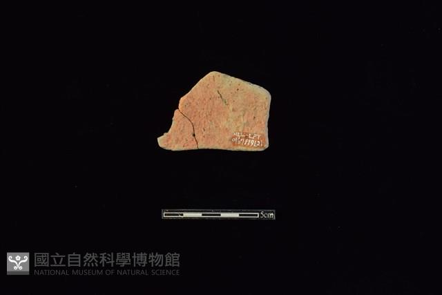 陶片藏品圖，第2張