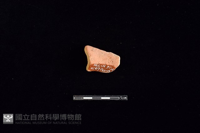 陶罐藏品圖，第2張