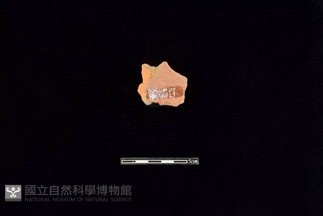連杯形器藏品圖，第2張