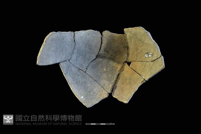 Accession Number:HLL-J PT1567 Collection Image, Figure 2, Total 2 Figures