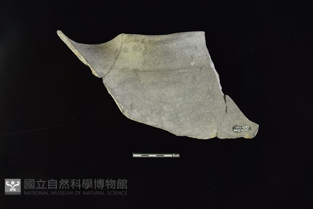 陶罐藏品圖，第2張