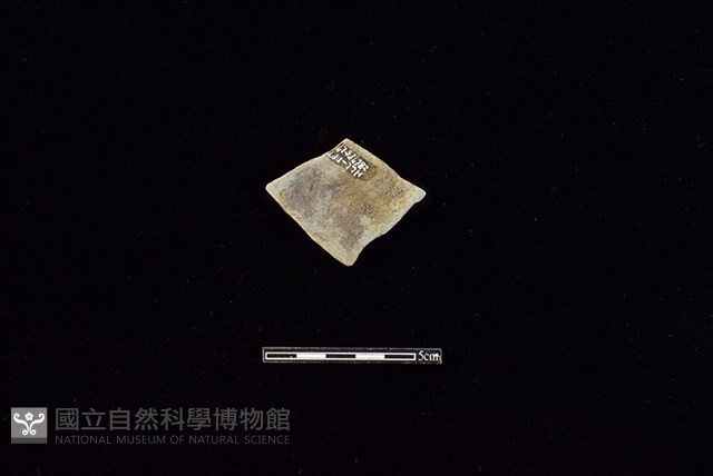 陶片藏品圖，第2張