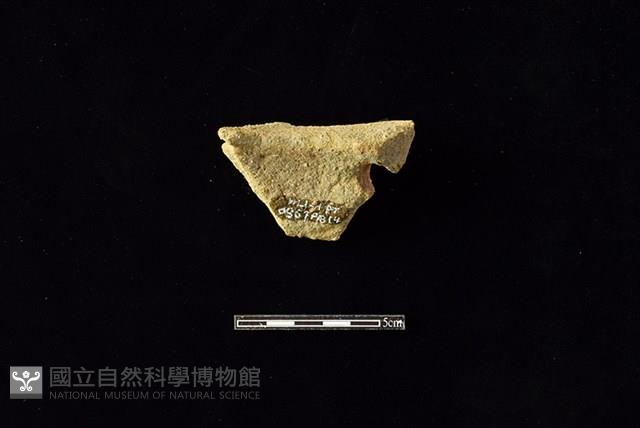 陶片藏品圖，第2張