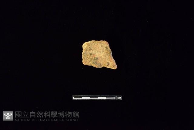 陶片藏品圖，第2張