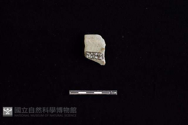 陶罐藏品圖，第2張