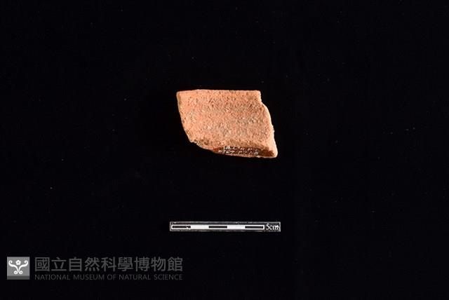 陶罐藏品圖，第2張