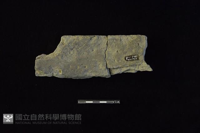 陶罐藏品圖，第2張