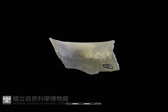 陶罐藏品圖，第2張