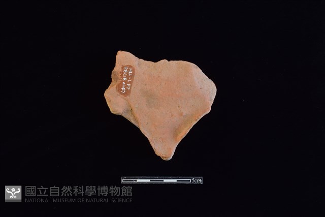 連杯形器藏品圖，第2張